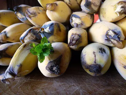 bakul